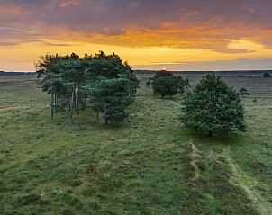 Prachtig uitzicht op de natuur rondom Huisje in Zorgvlied, een chalet in Zuidwest Drenthe, met een adembenemende zonsondergang.