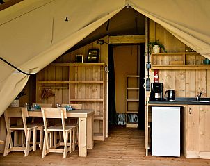 Guest house 201536 - Holiday property Zuidwest Drenthe - Safarilodge | 4 Pers