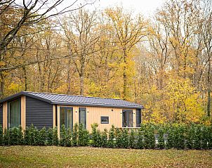 Verblijf 201538 - Vakantiewoning Zuidwest Drenthe - Aekinger Lodge | 4 Pers