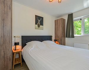 Guest house 201539 • Holiday property Zuidwest Drenthe • Vakantiehuis in Zorgvlied 
