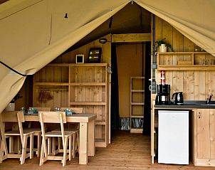 Guest house 201540 - Tent house Zuidwest Drenthe - Safarilodge l 4 pers