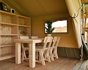 Guest house 201540 - Tent house Zuidwest Drenthe - Safarilodge l 4 pers