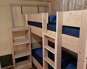 Guest house 201540 - Tent house Zuidwest Drenthe - Safarilodge l 4 pers