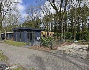 Guest house 201545 - Chalet Zuidwest Drenthe - Chalet in Zorgvlied