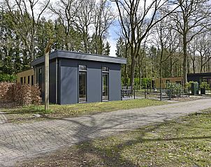 Guest house 201545 - Chalet Zuidwest Drenthe - Chalet in Zorgvlied