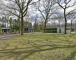 Guest house 201545 - Chalet Zuidwest Drenthe - Chalet in Zorgvlied