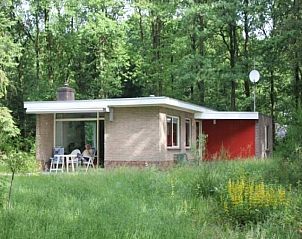 Guest house 201550 • Holiday property Zuidwest Drenthe • Mooie 4 persoons vakantiewoning midden in het bos 