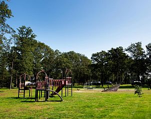 Guest house 201555 - Chalet Zuidwest Drenthe - De Bosberg