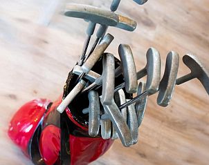 Guest house 201555 - Chalet Zuidwest Drenthe - De Bosberg