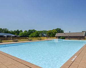 Guest house 201555 - Chalet Zuidwest Drenthe - De Bosberg