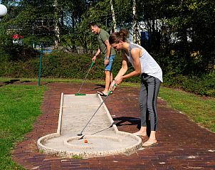 Guest house 201558 - Chalet Zuidwest Drenthe - De Ganzenpoel