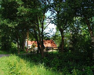 Schaduwrijke laan naar Vakantiehuis in Wapse, Zuidwest Drenthe, omgeven door bomen.