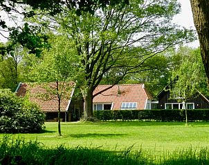 Rustig grasveld rondom Vakantiehuis in Wapse, Zuidwest Drenthe, met veel groen.