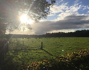 Uitzicht op weiland bij Vakantiehuis in Wapse, Zuidwest Drenthe, met ondergaande zon.