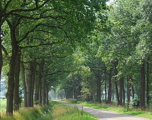 Lommerrijke weg nabij Vakantiehuis in Wapse, Zuidwest Drenthe, omzoomd door bomen.