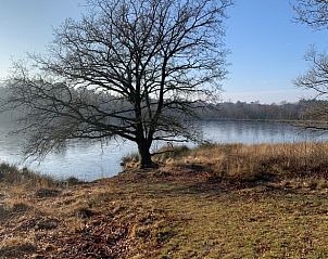Rivierzicht nabij Vakantiehuis in Wapse, Zuidwest Drenthe, met eenzame boom aan de oever.