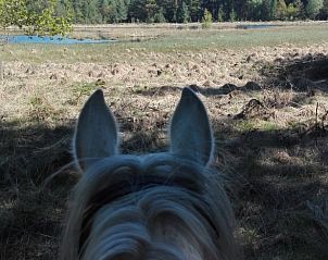 Uitzicht te paard op het landschap rond Vakantiehuis in Wapse, Zuidwest Drenthe.