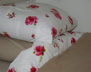 Bloemrijk beddengoed in Vakantiehuis in Wapse, Zuidwest Drenthe, voor een gezellige sfeer.