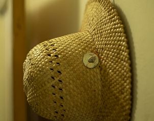 Verblijf 201711 - Vakantiewoning Zuidwest Drenthe - Vakantiehuisje in Wapse