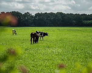Verblijf 201712 - Vakantiewoning Zuidwest Drenthe - Vakantiehuisje in Wapse