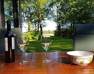 Genieen Sie ein Glas Wein auf der Terrasse des Ferienhauses in Wateren, Sdwest-Drenthe.