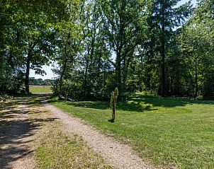 Waldweg bei Ferienhaus in Wateren, Westerveld, in Drenthe.