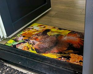 Eingang zum Ferienhaus in Wateren, Drenthe, mit einer farbenfrohen Fumatte mit Eichhrnchenmotiv, eingebettet in die natrliche Umgebung von Sdwest-Drenthe.