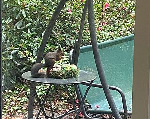 Unterkunft 201824 - Ferienhaus Zuidwest Drenthe - Vakantiehuis in Wateren (Westerveld)