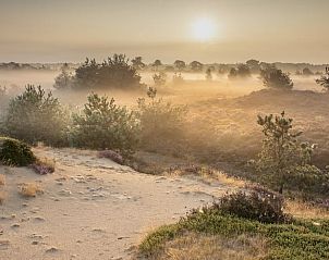 Unterkunft 201824 - Ferienhaus Zuidwest Drenthe - Vakantiehuis in Wateren (Westerveld)