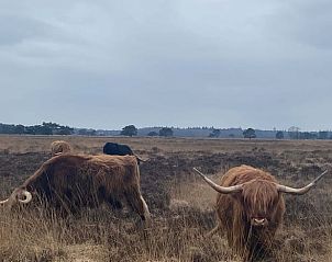 Unterkunft 201824 - Ferienhaus Zuidwest Drenthe - Vakantiehuis in Wateren (Westerveld)