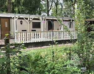 Das Charme Chalet Kairos in Wateren, Drenthe, bietet eine schne Terrasse mit Blick auf die umliegende Natur.