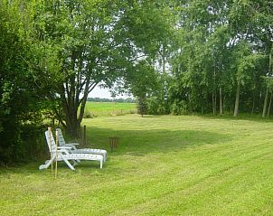 Rustige tuin bij Heimensteegde - 't Rustpunt, vakantiehuis in Wittelte, Drenthe met ligstoelen en groen uitzicht.
