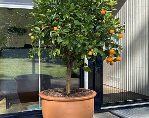 Unterkunft 201914 - Ferienhaus Zuidwest Drenthe - Vakantiehuis in Wittelte