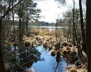 Unterkunft 201917 - Ferienhaus Zuidwest Drenthe - Vakantiehuisje in Wittelte