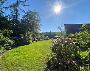 Unterkunft 201918 - Ferienhaus Zuidwest Drenthe - Vakantiehuisje in Wittelte