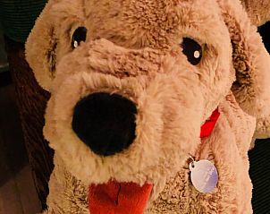 Guest house 202004 - Holiday property Zuidwest Drenthe - Huisje in Koekange