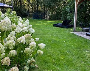 Guest house 202004 - Holiday property Zuidwest Drenthe - Huisje in Koekange