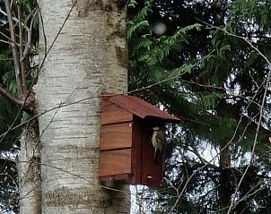 Guest house 202005 - Holiday property Zuidwest Drenthe - Huisje in Koekange