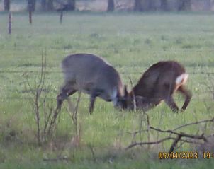 Guest house 202005 - Holiday property Zuidwest Drenthe - Huisje in Koekange