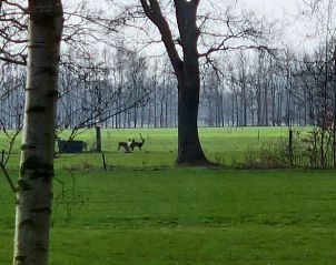 Guest house 202005 - Holiday property Zuidwest Drenthe - Huisje in Koekange