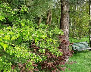 Guest house 202005 - Holiday property Zuidwest Drenthe - Huisje in Koekange