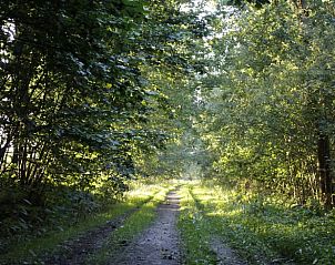 Guest house 202006 - Holiday property Zuidwest Drenthe - Vakantiehuisje in Koekange