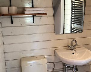 Badkamer in vakantiehuisje in Koekange met wastafel en spiegel, gelegen in Zuidwest Drenthe.