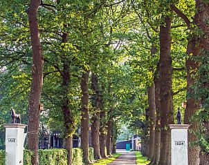 Bomenlaan naar vakantiehuisje in Koekange, biedt een schilderachtige entree in Zuidwest Drenthe.