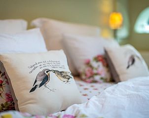 Guest house 202013 - Holiday property Zuidwest Drenthe - Huisje in Koekange