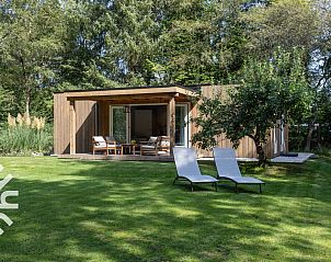 Guest house 202018 • Holiday property Zuidwest Drenthe • Prachtig 4 persoons boshuis met een heerlijke tuin- Drenthe 