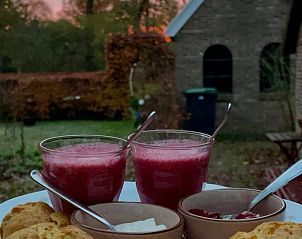 Unterkunft 202216 - Ferienhaus Zuidwest Drenthe - Vakantiehuisje in Uffelte