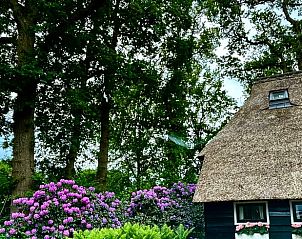 Unterkunft 202216 - Ferienhaus Zuidwest Drenthe - Vakantiehuisje in Uffelte