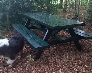 Unterkunft 202504 - Ferienhaus Zuidwest Drenthe - Huisje in Elim