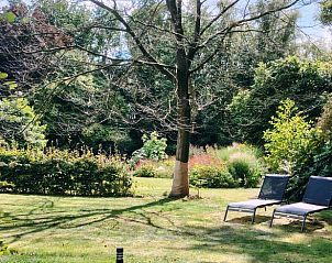 Tuin van Huisje in Elim, vakantiehuis in Elim, Zuidwest Drenthe, met ligstoelen en veel groen.